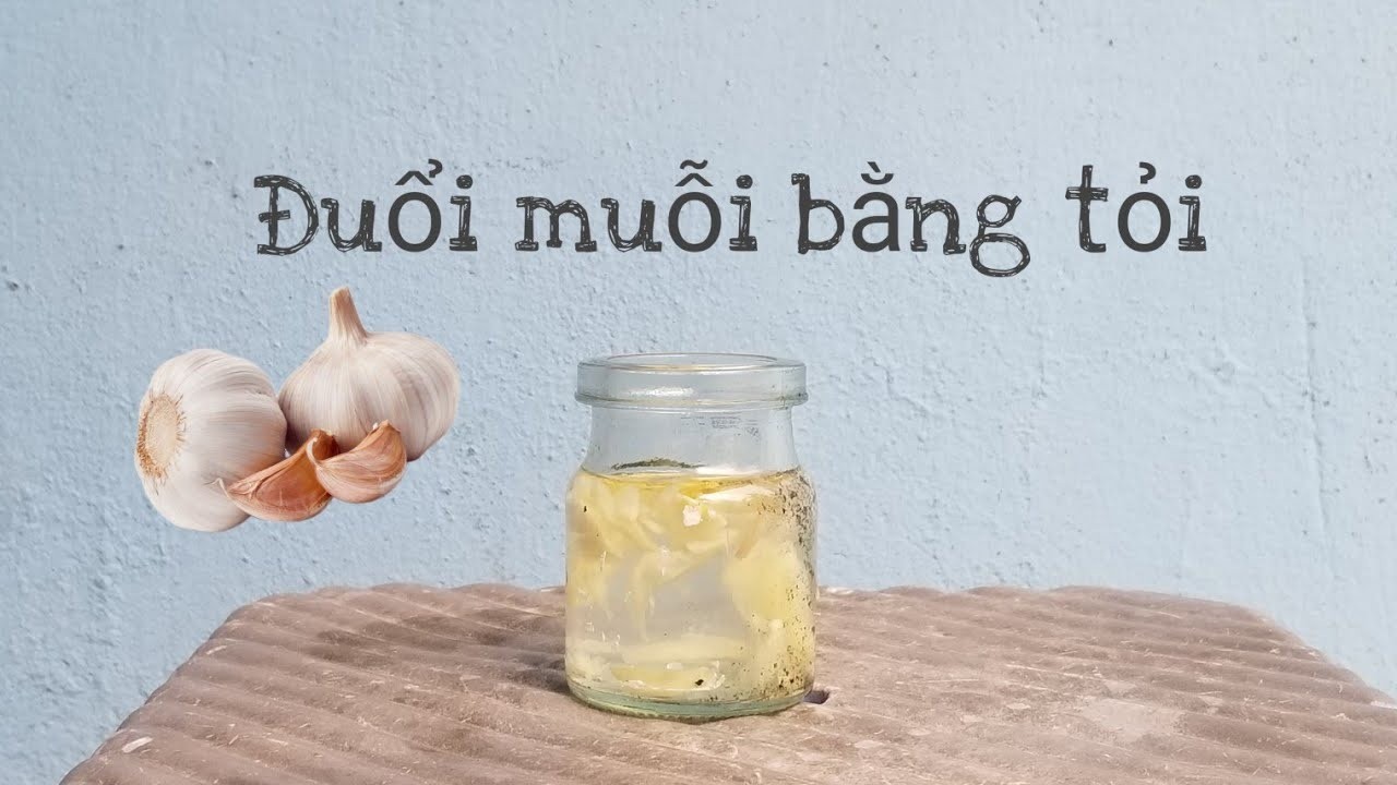 Cách đuổi muỗi bằng tỏi hiệu quả và an toàn (3 Phương pháp)